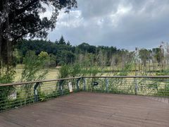 -牛岗山公园