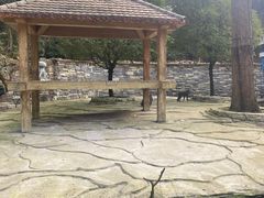 -贵州森林野生动物园