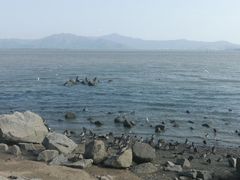 -深圳湾公园(南山区)