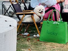 -J Create城市露营咖啡·简餐·宠物(上海动物园店)