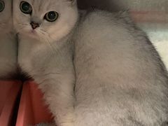-拜鲁耶动物诊疗中心·宠家动物医院