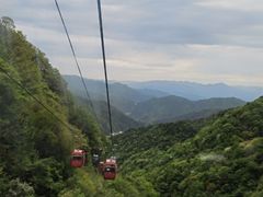-王顺山国家森林公园