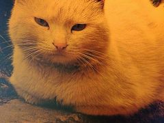 -广发银行(漕河泾支行)