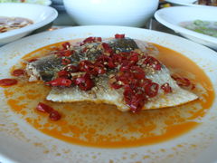 -顶鲜101美食美景餐厅
