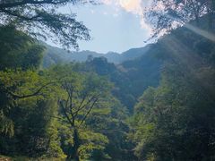 -水墨汀溪风景区
