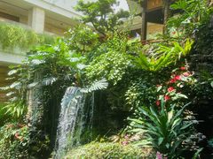 -白天鹅宾馆-宏图府餐厅