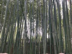 -竹泉村旅游度假区