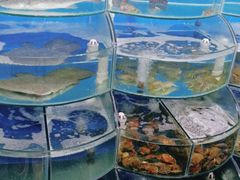 -海之味海鲜大咖·家常菜