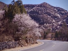 -妙峰山风景名胜区