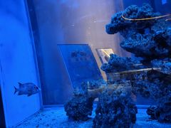 -上和臻品中国菜(花园街店)