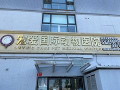 -宠爱国际动物医院·疑难骨科·心肾内科·皮肤科(太阳宫店)