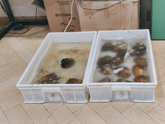 -十八字金·银饰·开蚌DIY·手工体验团建(世纪金源店)