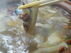 -威邵鸡煲(西华路总店)