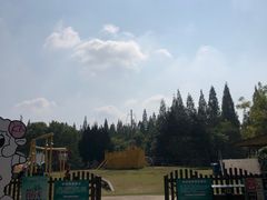 -东平国家森林公园