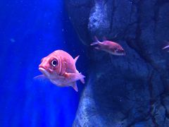 -成都浩海立方海洋公园