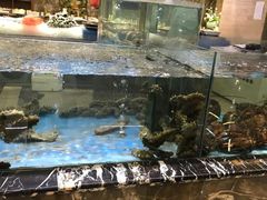 -上和臻品中国菜(花园街店)