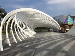 -宝安西湾红树林湿地公园