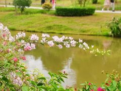 -东莞植物园