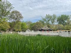 -莲湖公园