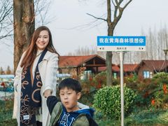 -黄海国家森林公园