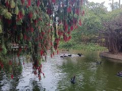 -深圳野生动物园