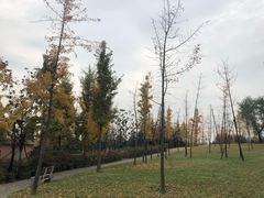 -洨河生态公园