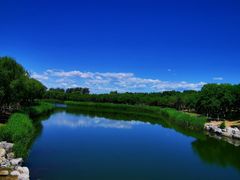 -大兴滨河森林公园