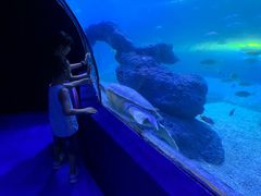 -左海海底世界