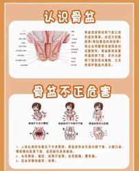 -安院长·产后恢复·徒手骨盆(先天下店)