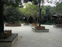 -光明港公园
