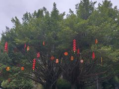 -金鸡山公园