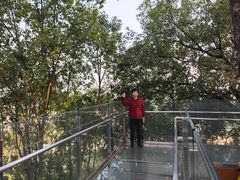 -福道