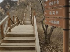 -大岭沟猕猴桃谷风景区