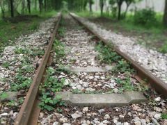 -合肥滨湖国家森林公园