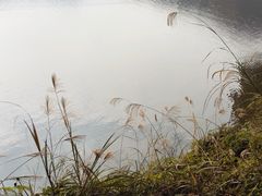 -红花湖景区