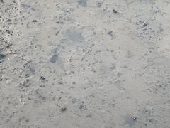 -北海金海湾红树林生态旅游区