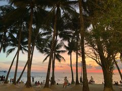 -Cha Cha's Beach Cafe