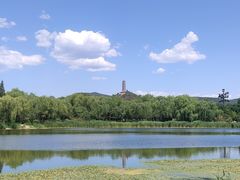 -北坞公园
