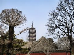 -西海子公园