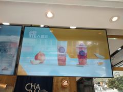 -茶百道(四季青店)