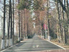 -小六农家乐(崇明西沙湿地店)