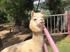 -汕尾铜鼎山旅游区