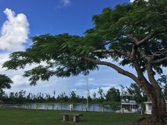-美国纪念公园