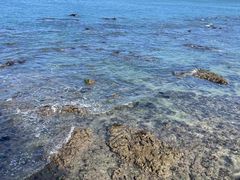 -三亚西岛海洋文化旅游区
