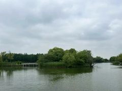 -苏州太湖国家湿地公园