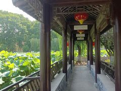 -丝绸小镇荻港古村