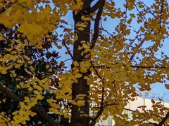 -西安电影制片厂