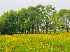 -嘉北郊野公园