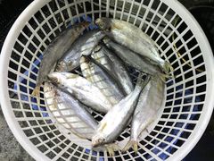 -海帮主·蒸汽海鲜青岛菜(栈桥火车站店)