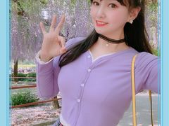 -嘉定紫藤园